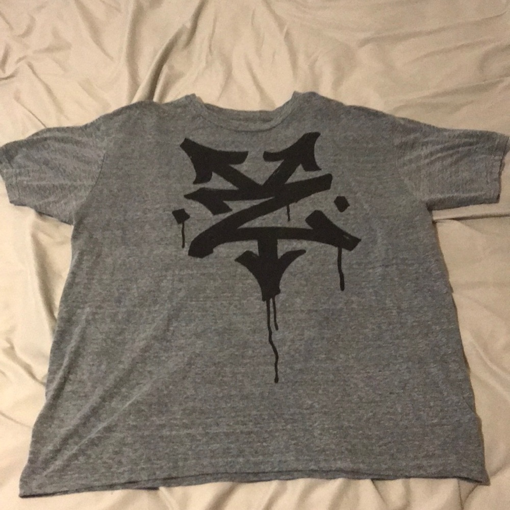 Gray Zoo York shirt